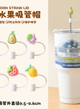 6mm吸管防尘塞 简约吸管帽通用食品级硅胶马克龙色保护吸管套可爱