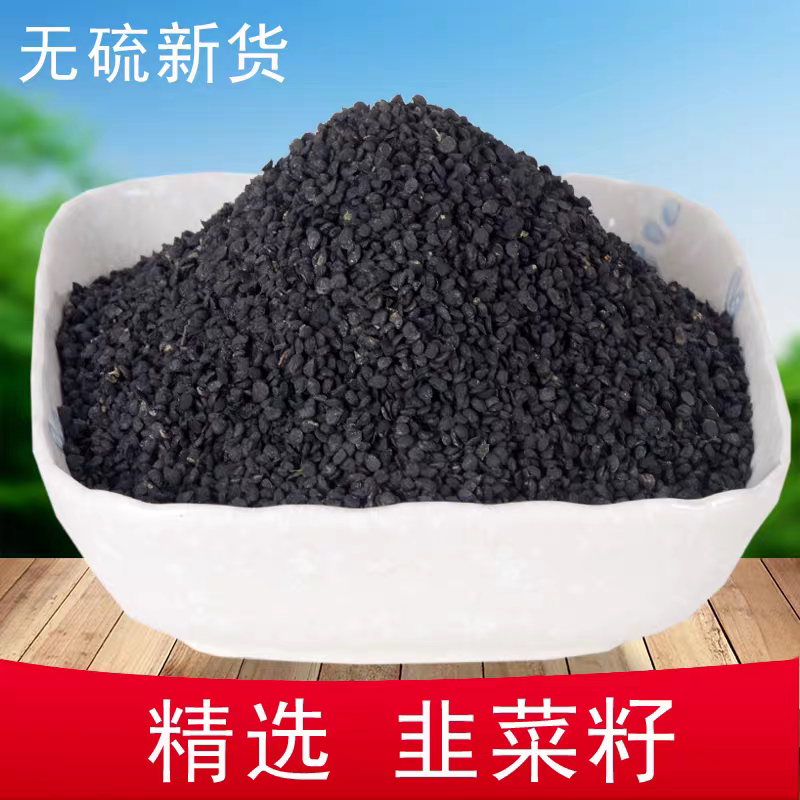 韭菜籽 韭菜仔药材正品好货无硫可搭配菟丝子巴戟锁阳