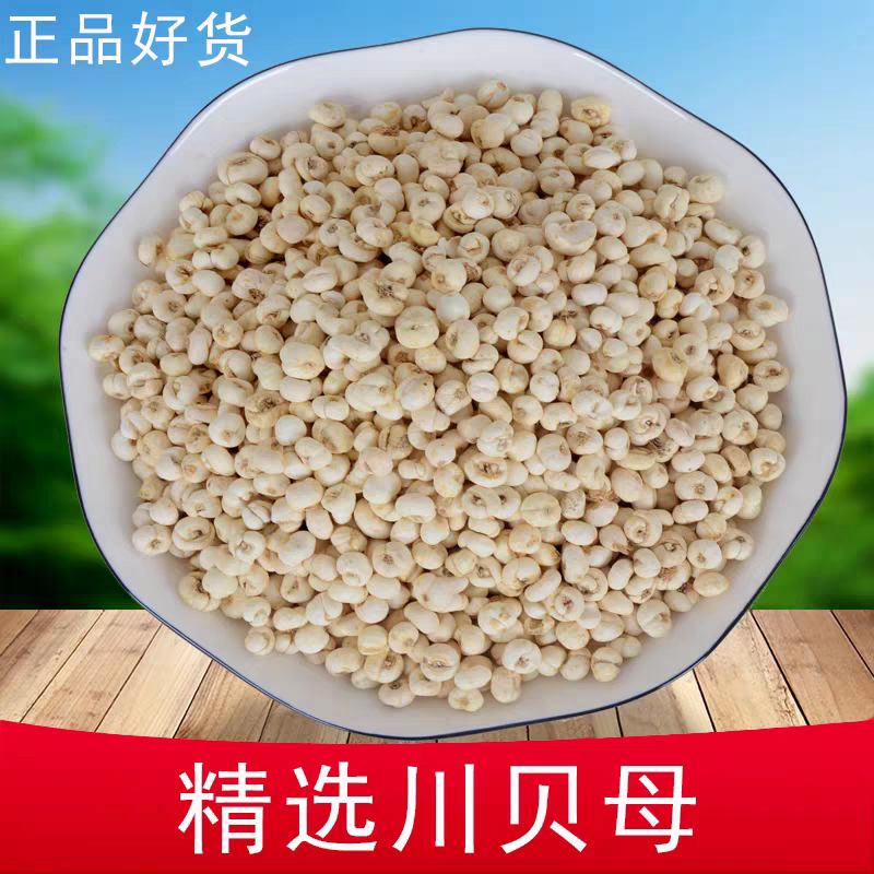 四川贝母 川贝正品中药材川贝母100克松贝母松贝无硫可食用川贝