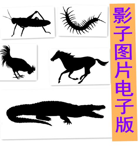 动物影子质量怎么样 动物影子口碑怎么样 小麦优选