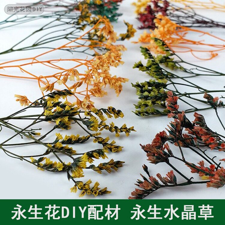 【永生花diy厂家】 永生水晶草1克装 手工创意礼盒玻璃罩永生花材