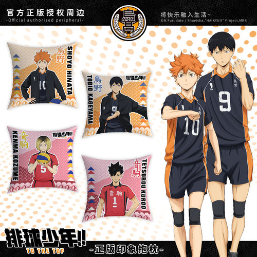现货 官方正版授权排球少年午休抱枕印象双面靠枕乌野周边抱枕