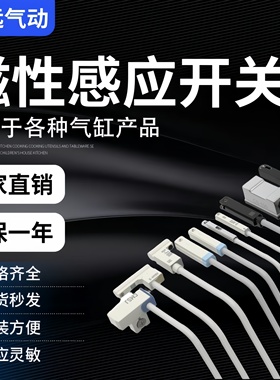 磁性开关C/DMSG/J/H/E/CS1-U/F/M/S-020/D-M9BNV/D-A93/Z73/D-F8B