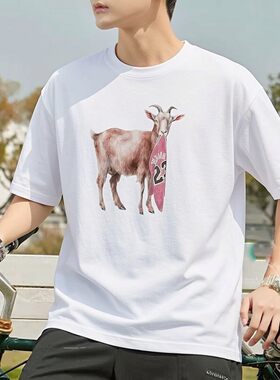 Jordan乔丹篮球T恤男士AJ短袖山羊GOAT运动装纯棉健身上衣训练服