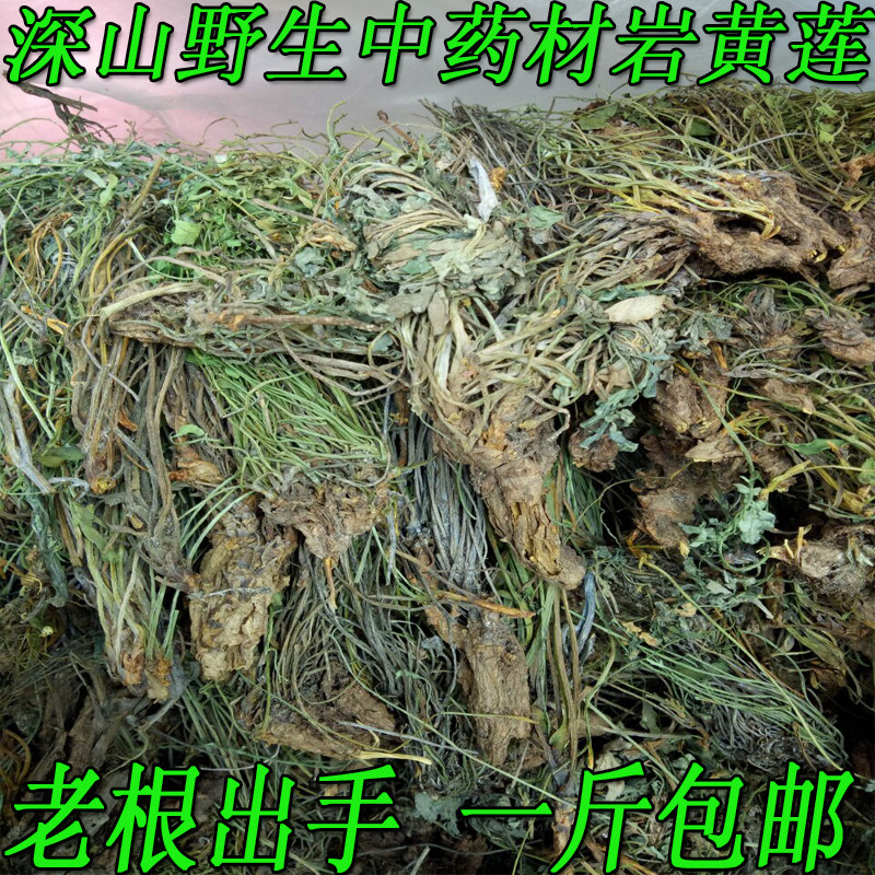 野生新货药材 岩黄连 正宗老根岩黄莲干 岩胡 岩连 一斤现货包邮