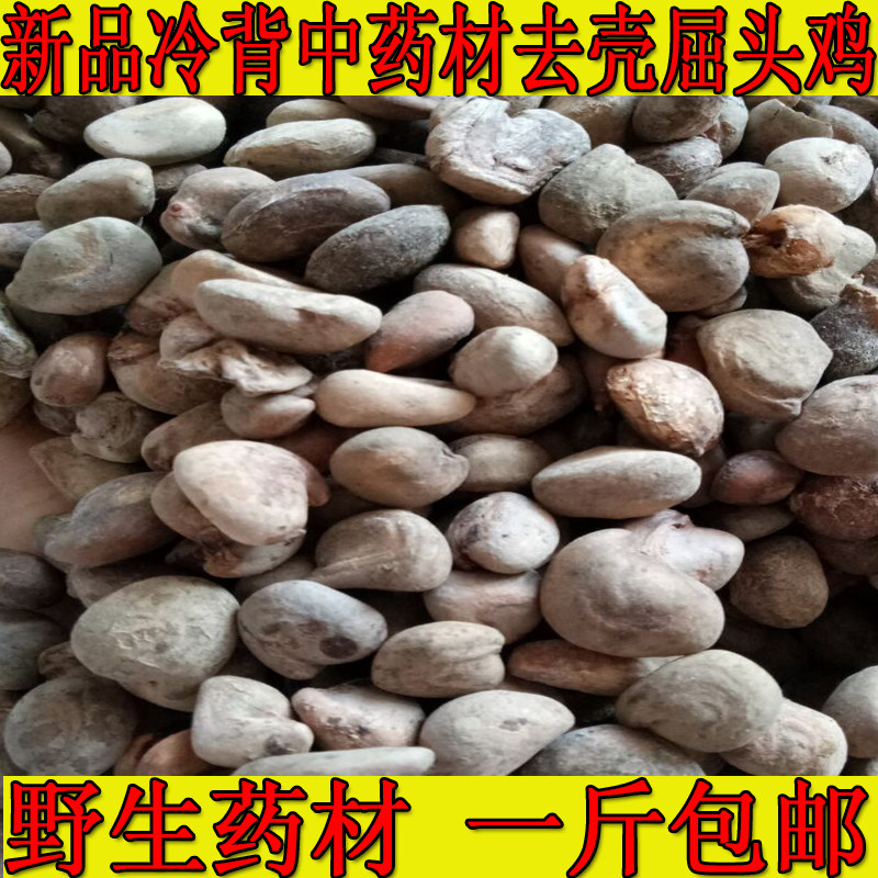 野生新品药材去壳屈头鸡  青果 水J头 山槟榔一斤包邮可代打粉