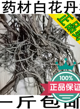 野生药材白花丹根一见消百花丹根 白雪花 新品一斤包邮可代打粉
