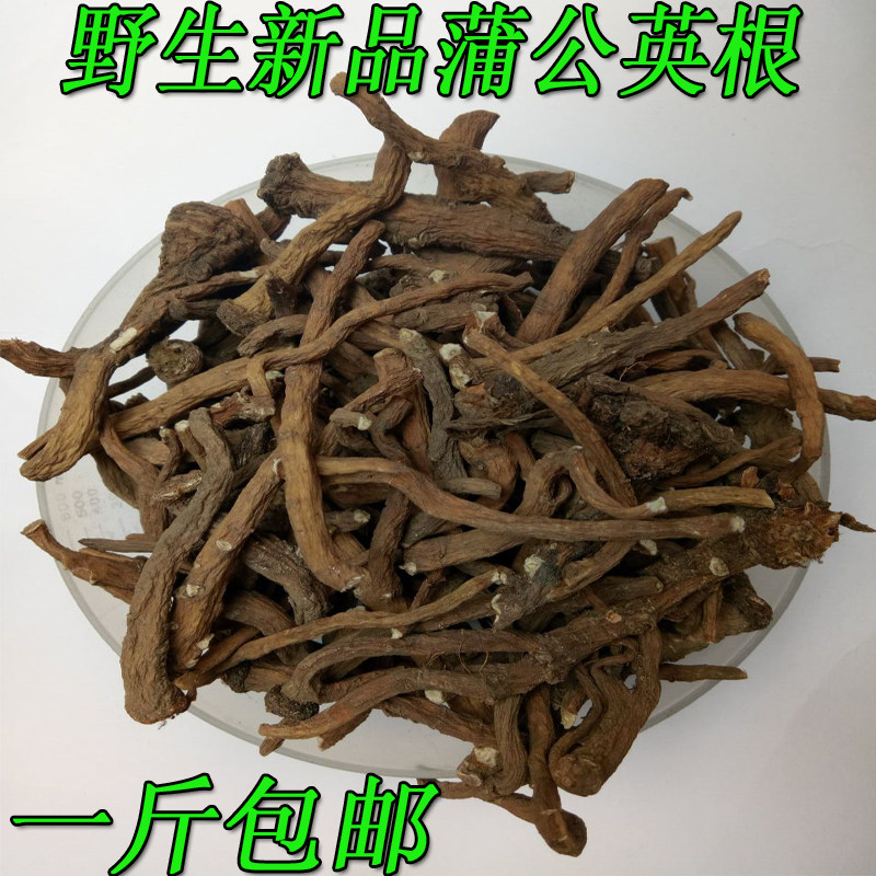 药材 野生蒲公英 根 茶浦公英 莆公英 薄公英婆婆丁500g包邮
