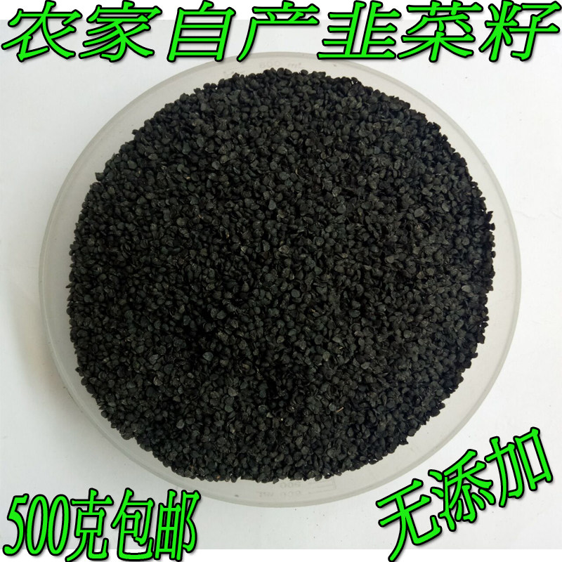 新品农家韭菜籽无硫泡茶泡酒药材起阳草子非葱仔九菜子一斤也包邮