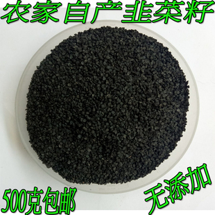 新品农家韭菜籽无硫泡茶泡酒药材起阳草子非葱仔九菜子一斤也包邮