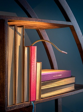 意大利Catellani & Smith Storie di Luce充电台灯 复古LED便携