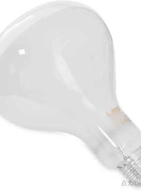 点光意大利Flos Frisbi Parentesi原装进口专用灯泡 室内LED调光