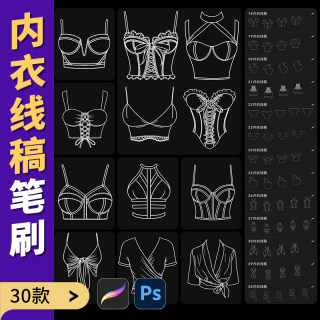 procreate画笔ps笔刷女生女士内衣泳衣紧身衣内衬女装服装线稿