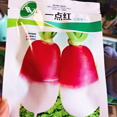 红萝卜种子一点红皮抗病耐寒