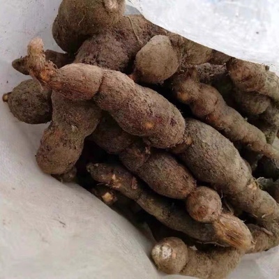 新鲜现挖现卖粉藤蛋 粉藤薯 接骨藤 白牵牛 白粉藤500克