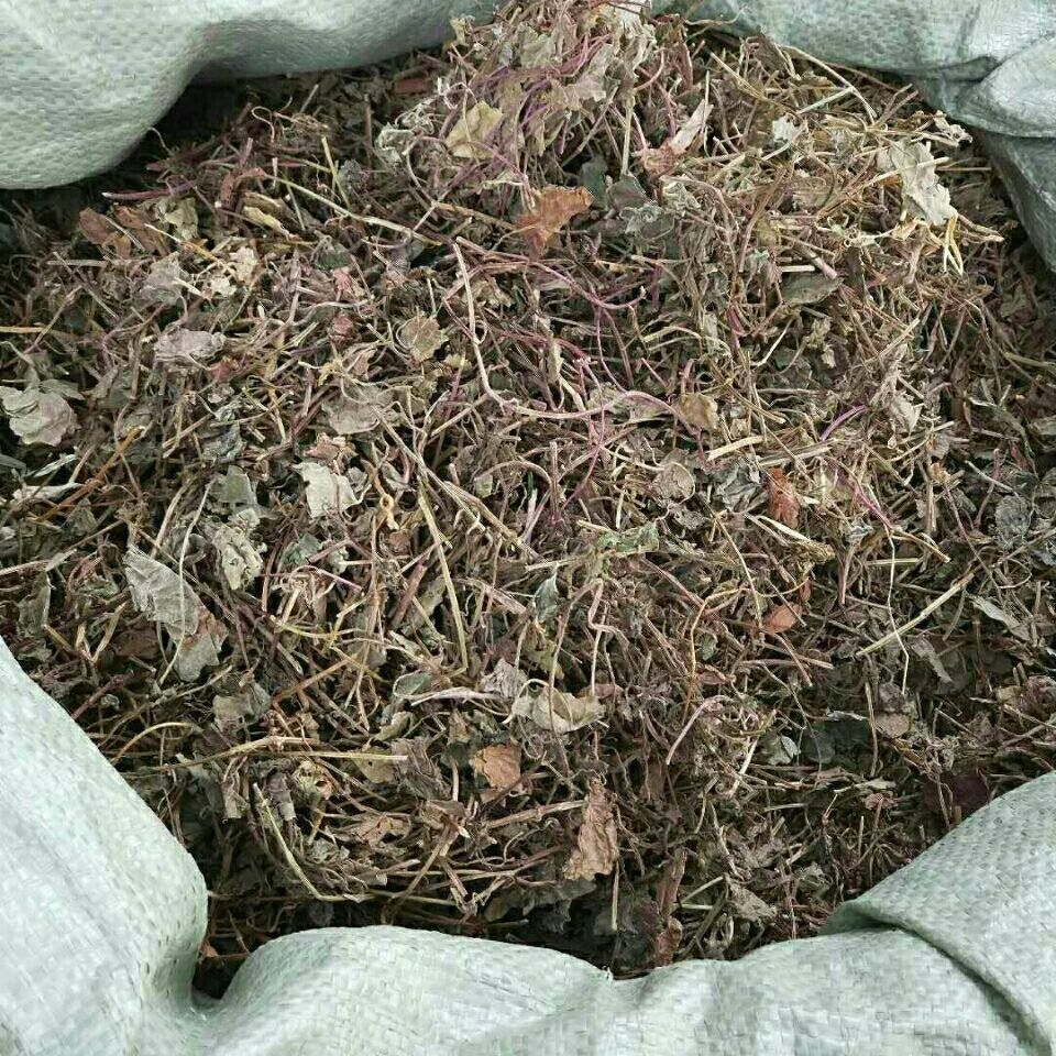 野生中药材透骨消 透骨草 连钱草 活血丹 驳骨草 接骨消500克包邮