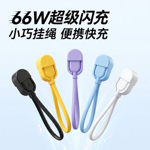 适用安卓苹果快充伴侣挂绳数据线手机挂饰短款双Type-C单Lightnin