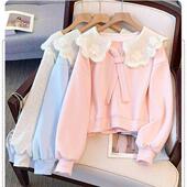 上衣 可爱风娃娃领甜美卫衣小女孩学院风百搭长袖 2026女童新款 爆款