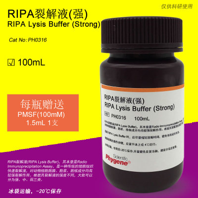 RIPA裂解液 (强) RIPA Lysis Buffer 100mL PH0316 PHYGENE