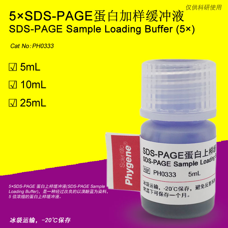 5×SDS-PAGE蛋白上样缓冲液 加样缓冲液 5mL [PH0333 PHYGENE] 工业油品/胶粘/化学/实验室用品 试剂 原图主图