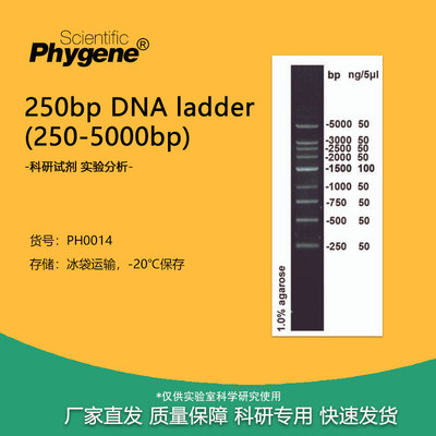 DNAMarker250-5000bp核酸电泳