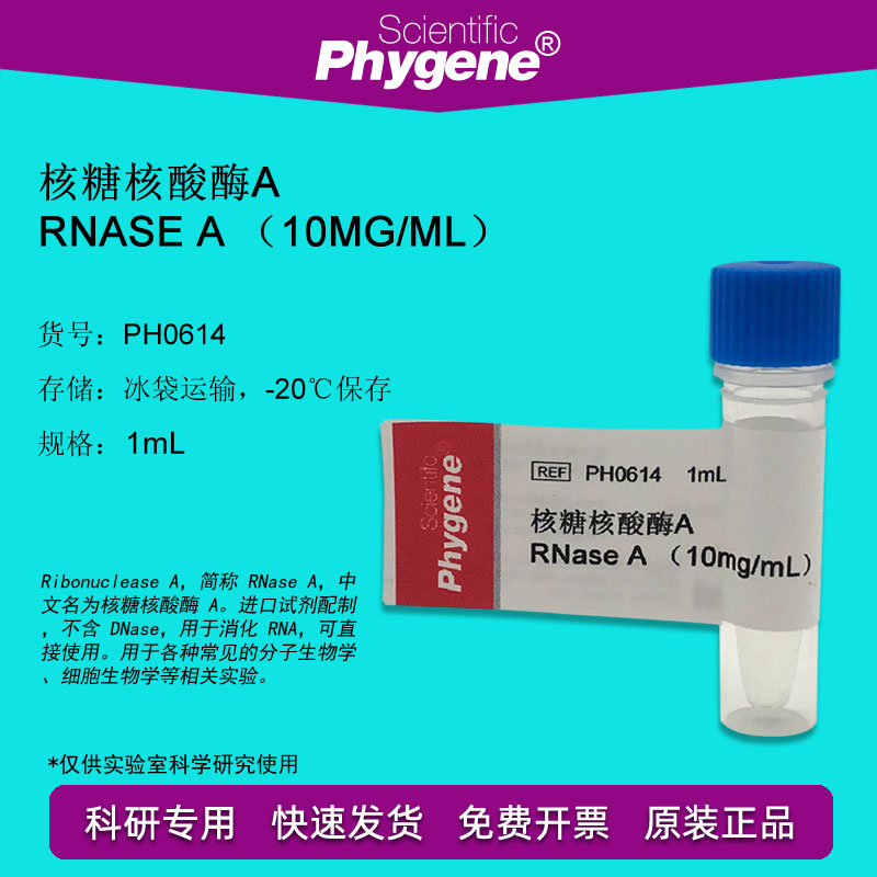 核糖核酸酶A 1mL RNase A 10mg/mL DNase free[PH0614 PHYGENE]