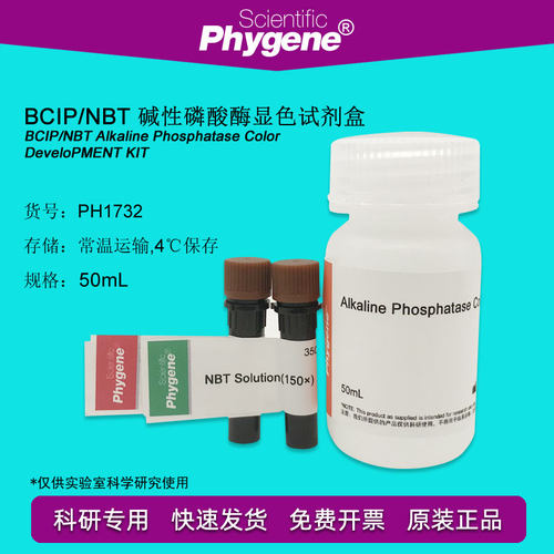 BCIP/NBT碱性磷酸酶显色试剂盒 科研实验 [PH1732 PHYGENE]