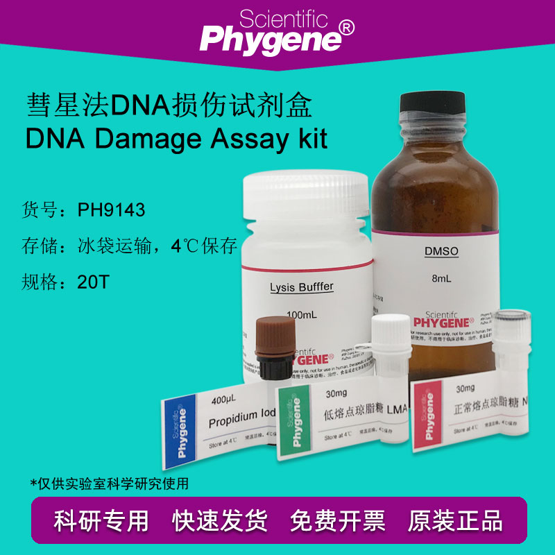 DNA损伤检测试剂盒-彗星法 DNA Damage kit[PH9143 PHYGENE]