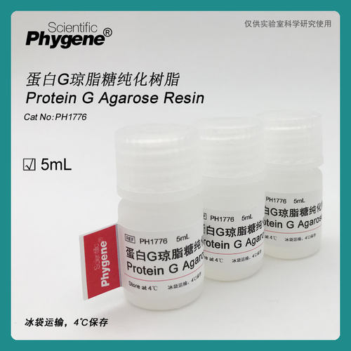 蛋白G琼脂糖纯化树脂 Protein G Agarose Resin [PH1776 PHYGENE]