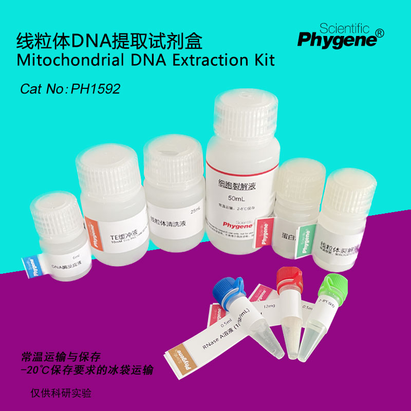 PH1592 线粒体DNA提取试剂盒 套装 科研实验专用 PHYGENE