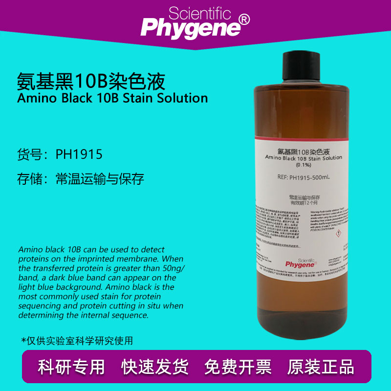 蛋白质检测氨基黑10B染色液