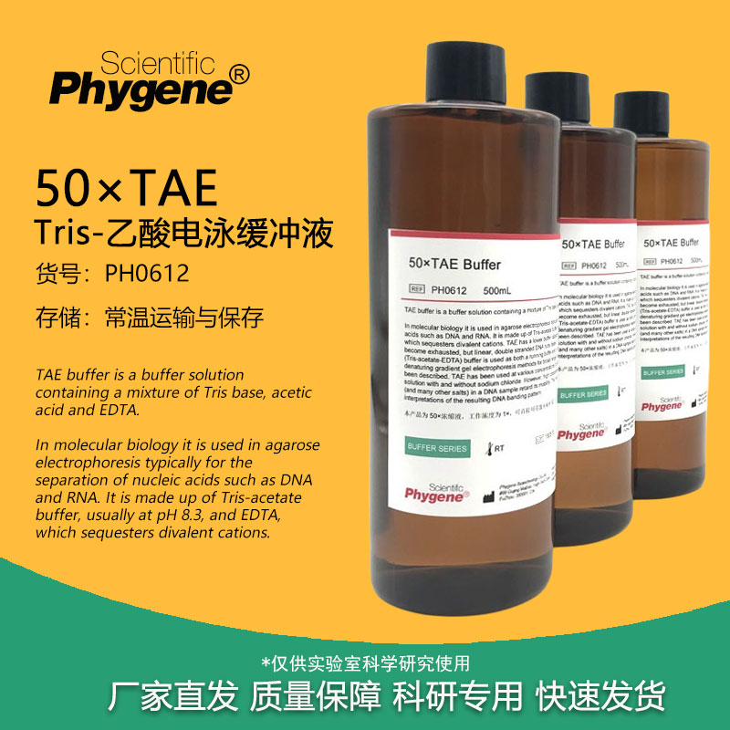 50×TAE Tris电泳缓冲液 50X TAE缓冲液 500mL[PH0612 PHYGENE]-封面