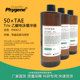 TAE缓冲液 50X 500mL PH0612 50×TAE PHYGENE Tris电泳缓冲液