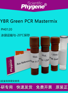 荧光定量PCR试剂盒 2×SYBR Green PCR Mastermix PH0120 PHYGENE