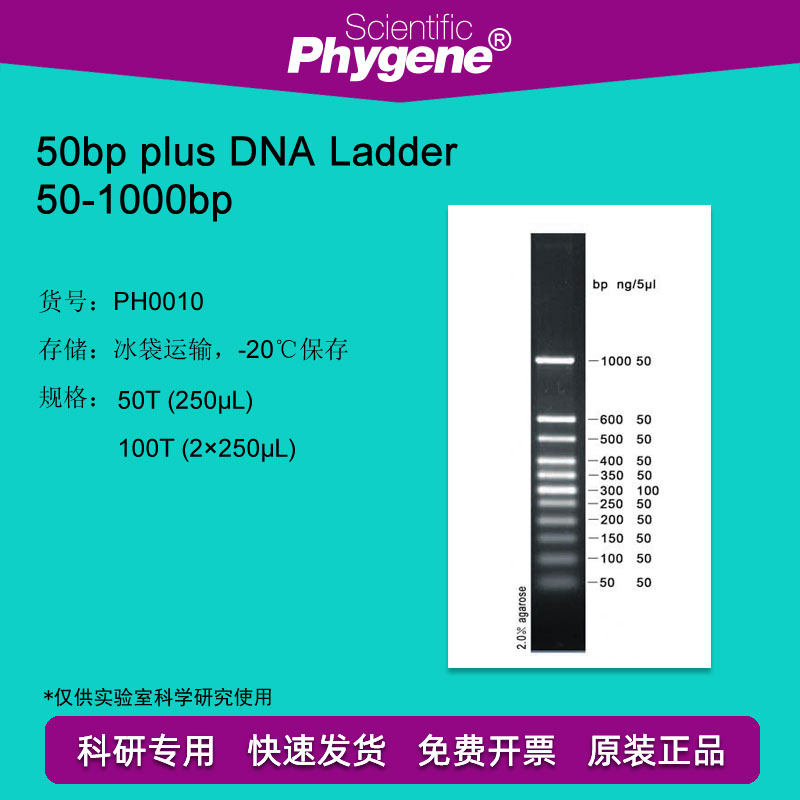 50bp DNA Marker 50-1000 DNA Ladder 100T [PH0010 PHYGENE]