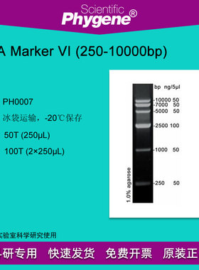 DNA Marker (250-10000bp) 100T 2×250μL [PH0007 PHYGENE]