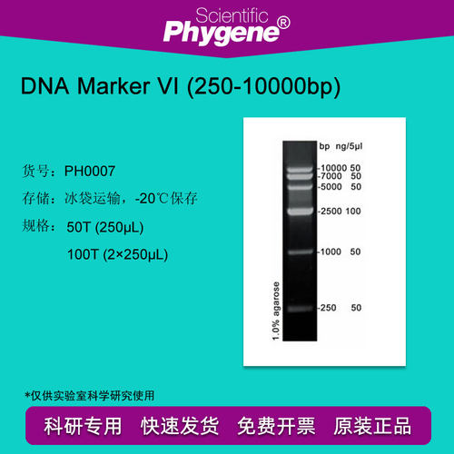 DNA Marker (250-10000bp) 100T 2×250μL [PH0007 PHYGENE]