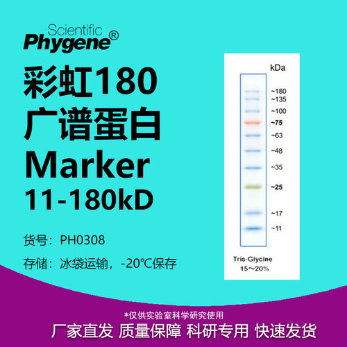 彩虹预染蛋白Marker11-180kD