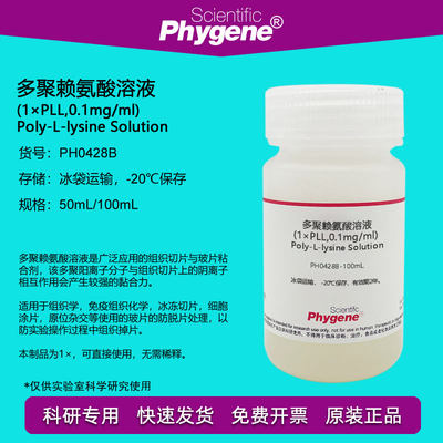 PHYGENE多聚赖氨酸玻片粘合剂