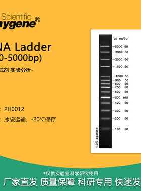 100bp plus DNA Ladder/Marker (100-5000bp) [PH0012 PHYGENE]