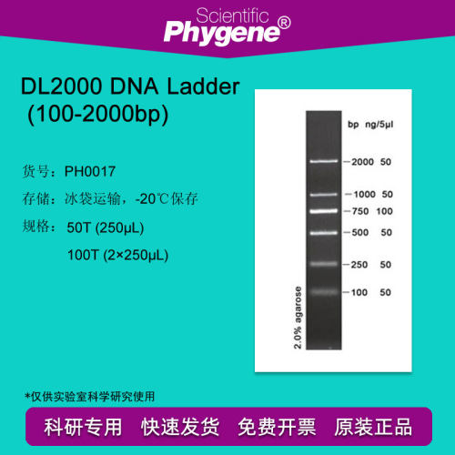 PH0017 DL2000 DNA Ladder (100-2000bp) 100T DNA Marker