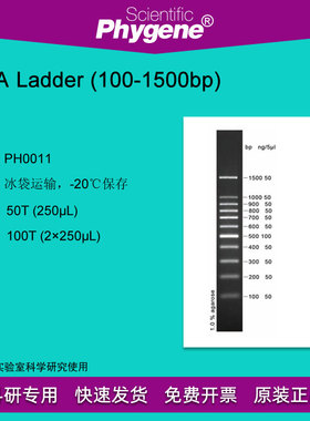 DNA Ladder (100-1500bp) DNA Marker 100T PH0011 PHYGENE