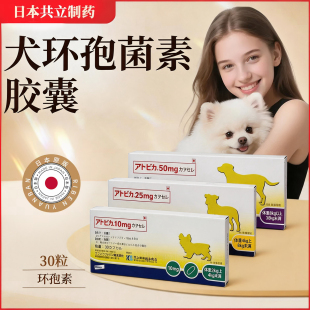 Atopica 犬环孢菌素胶囊阿托皮卡宠物过敏性口腔脊髓炎免疫介导性