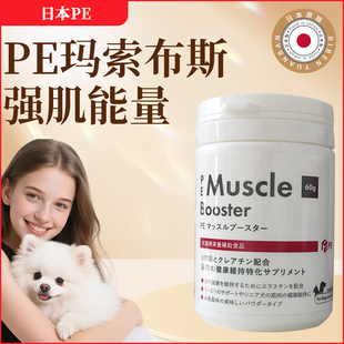 PE玛索布斯 日本 犬猫宠物脊椎神经瘫痪增加肌肉运动提升运动能量