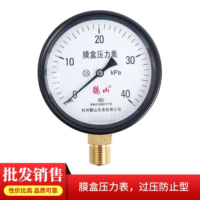 厂家货源鹳山仪表鹳山牌膜盒压力表ye100系列可特殊定制