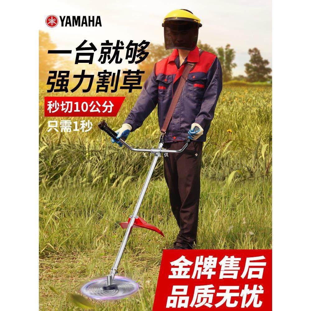 割草机四冲程背负式多功能农用收割除草家用小型多功能汽油打草机,农机/农具/农膜,割灌机/割草机/油锯,淘宝优惠券,粉丝福利购,淘宝优惠卷