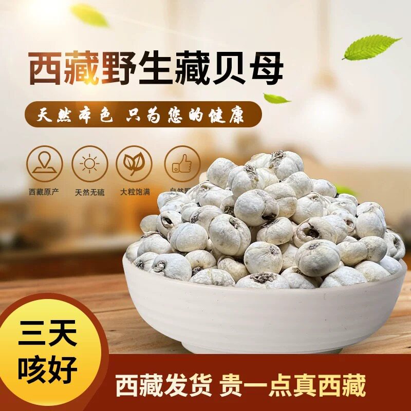 藏族野生川贝正品中药藏贝特级无硫贝母川贝粉500g可搭枇杷膏包邮