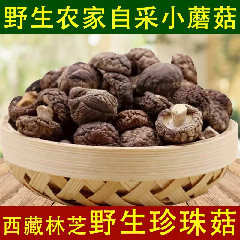 西藏林芝香菇250g珍珠菇野生采集