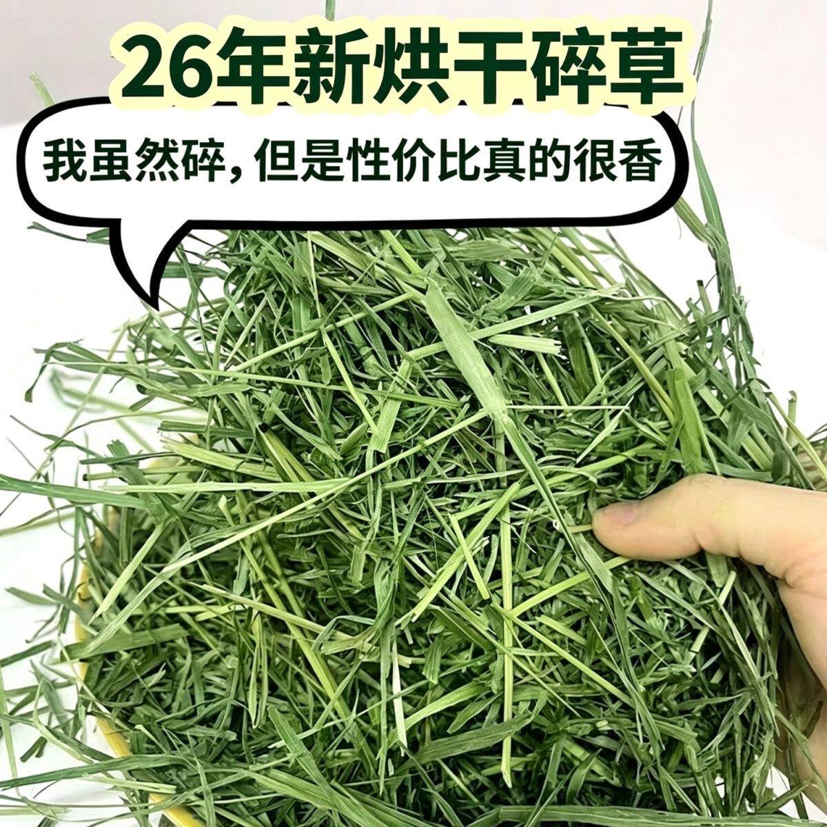 烘干提摩西碎草兔子龙猫荷兰猪食用干草牧草
