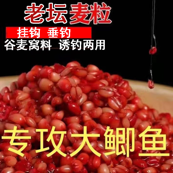 野钓大鲫鱼鲤鱼杂粮酒米红虫窝料小麦粒打窝米打窝料钓鱼饵料底窝,户外/登山/野营/旅行用品,活饵/谷麦饵等饵料,淘宝优惠券,粉丝福利购,淘宝优惠卷